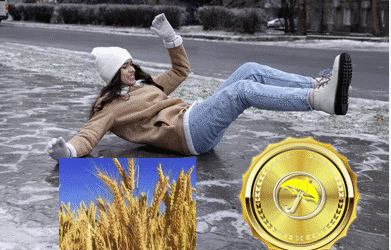 US Wheat Conditions Slipping, Time To Take Massive Profits Short Coffee? & Quick Pre-Weekend Commodity Review